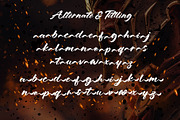 Spartan Brush - Brush Font, a Handwritten Font by Letterara (Thumbnail 11 of 13)