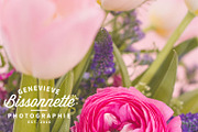 Spring bouquet bundle, a Nature Photo by GB Photographie (Thumbnail 8 of 8)