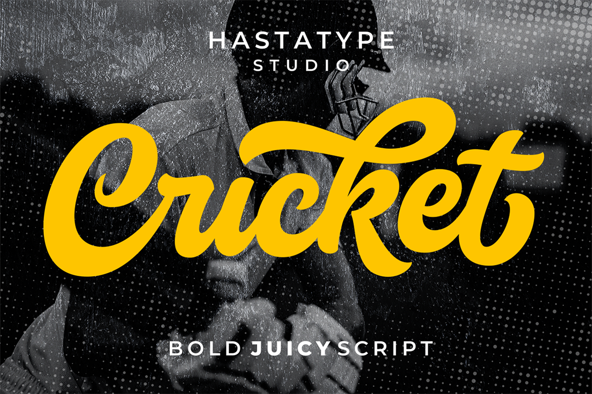 Cricket Script, a Script Font by hastatypestd (Photo 1 of 8)