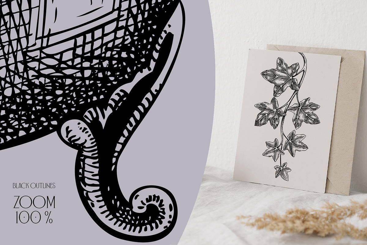 Witchcraft - Gothic Illustration Set, a Seasonal Illustration by Yevheniia (Photo 10 of 11)
