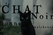 Halllow | Gothic SVG font, a Serif Font by Drawwwn (Thumbnail 10 of 12)