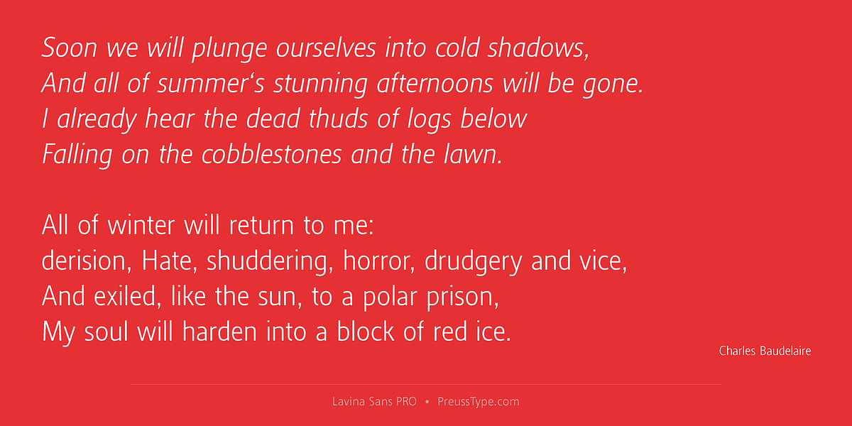 Lavina Sans PRO, a Sans Serif Font by preussTYPE (Photo 5 of 9)