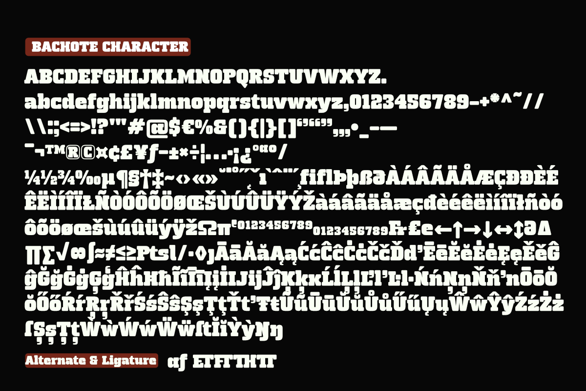 Bachote, a Slab Serif Font by Differentialtype (Photo 7 of 8)
