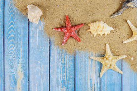 Old wooden board with shell starfish, a Holiday Photo by Ungvar Studio