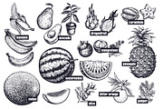 Fruits and berries. Big set., an Object Graphic by MarinaVorontsova (Thumbnail 4 of 8)