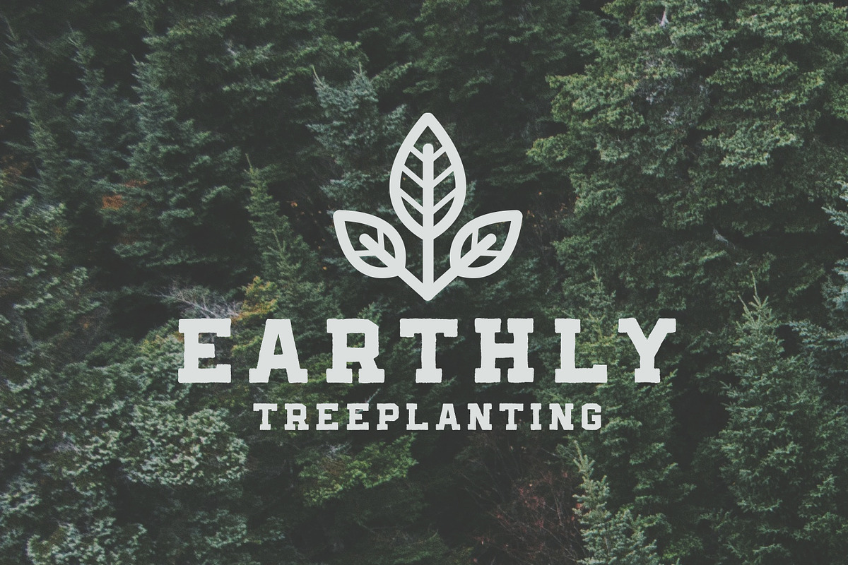 Bushfire - 4 Font Family preview 4