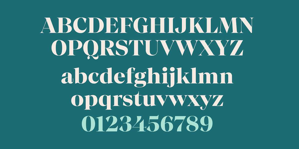 Chiaroscura, a Serif Font by Emtype Foundry (Photo 15 of 15)