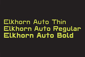 Elkhorn Auto Typeface