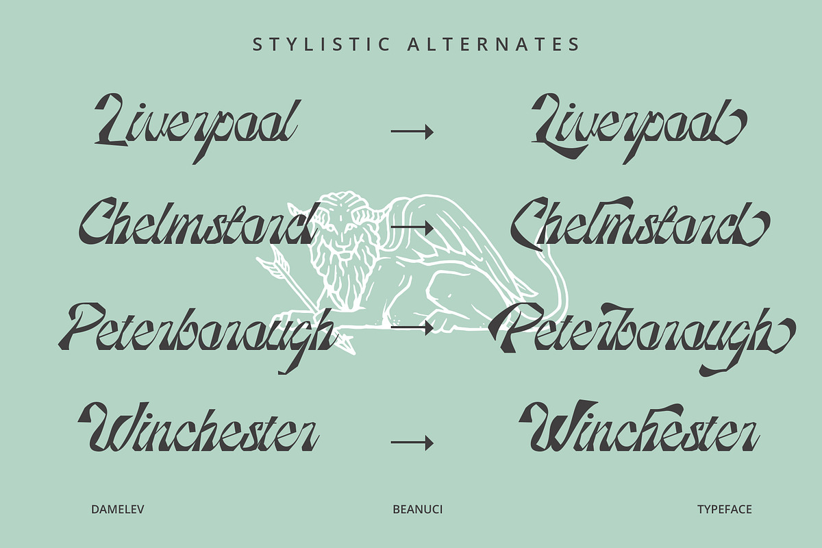 Beanuci, a Script Font by Damelev (Photo 10 of 13)