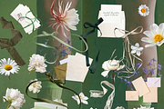 Greenhouse Archive / Garden Collage, an Object Graphic by Natali Batu (Thumbnail 6 of 13)