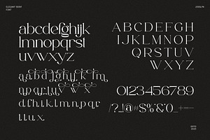 Jesslyn - Stylish Serif Font