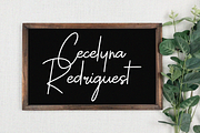 Sallyna Cattalya, a Script Font by Essentials Studio (Thumbnail 4 of 8)
