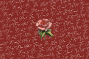 Notheli Dahlia Stylish Beauty Script, a Script Font by stylishtype.co (Thumbnail 11 of 20)