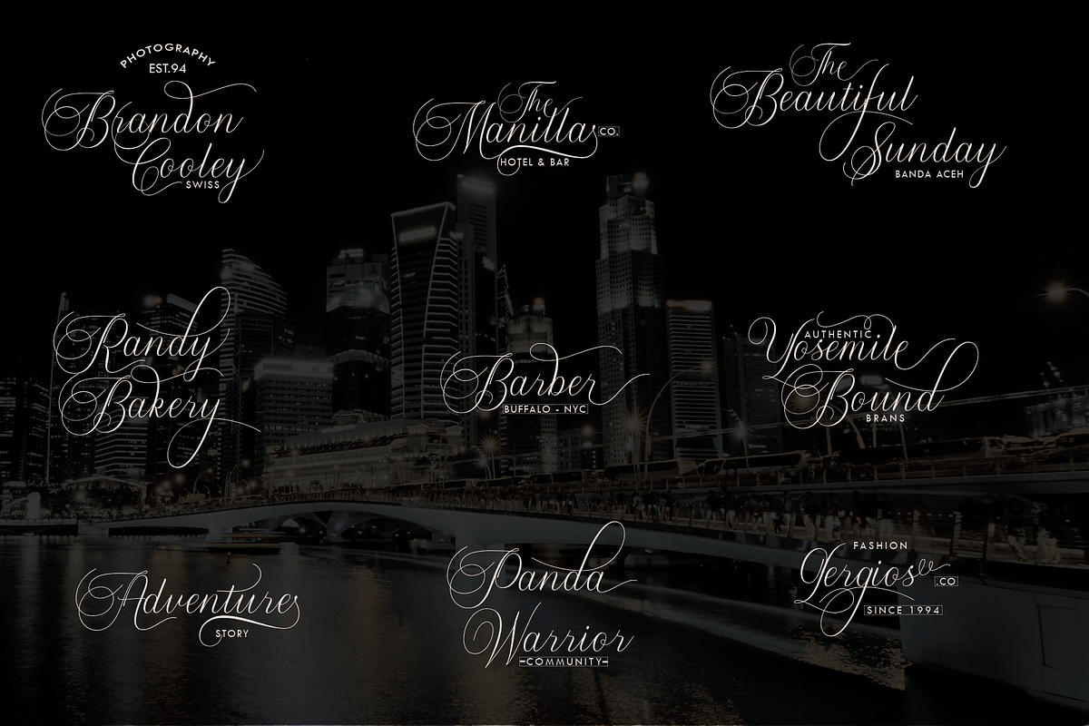 Metropolis, a Script Font by Deniz86 (Photo 9 of 11)