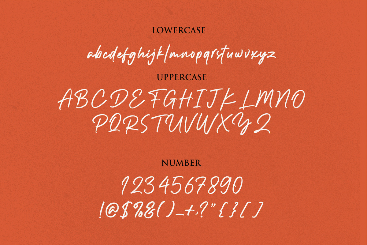 Outlander Signature, a Handwritten Font by typeline studio (Photo 6 of 6)
