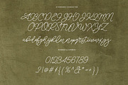 The Separated | Romantic Script Font, a Script Font by Imoodev (Thumbnail 4 of 7)