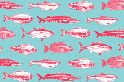 Fish, an Animal Illustration by Vera Holera (Thumbnail 5 of 7)