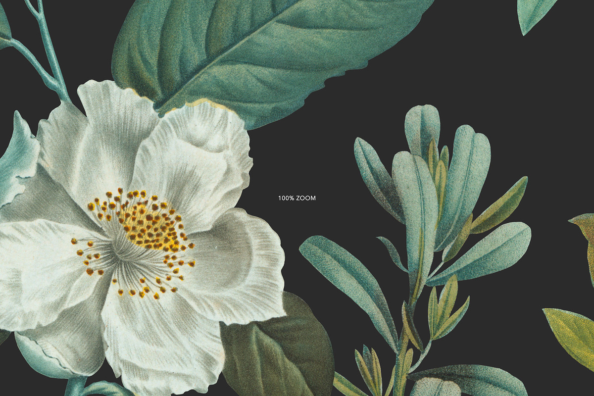 Botanical Elegant English Pattern, an Illustration by likorbut (Photo 9 of 9)