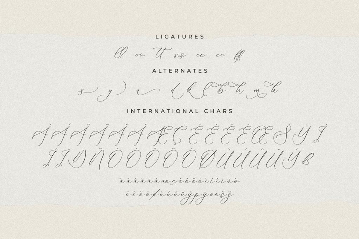 Fattrios Schudnel Chic Calligraphy, a Script Font by Storytype Studio (Photo 12 of 13)