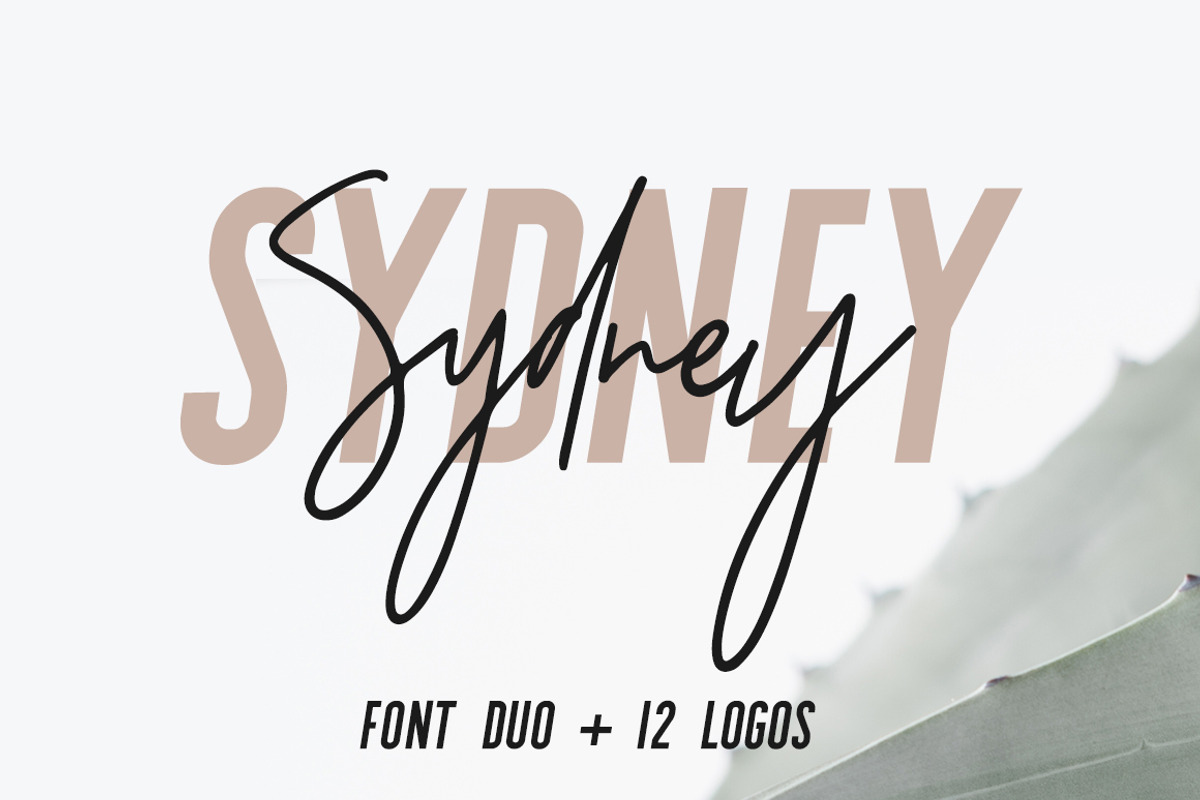 Sydney | Font Duo + 12 Free Logos, a Sans Serif Font by Jen Wagner Co (Photo 13 of 13)