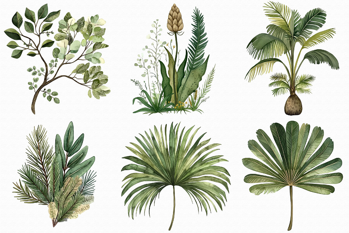 Watercolor Palm Tree Clipart, an Illustration by Libby Wishes (Photo 7 of 7)