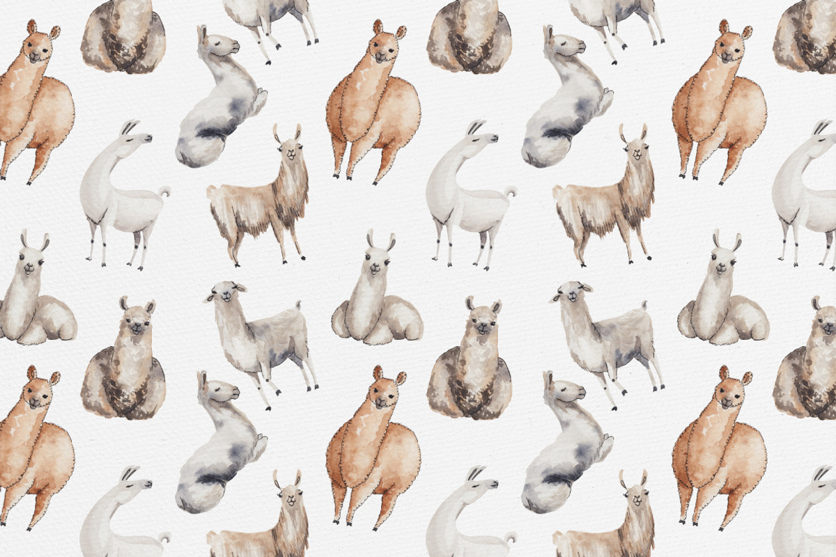 Watercolor Llamas + 2 Patterns, an Animal Illustration by Petite Salade (Photo 4 of 4)