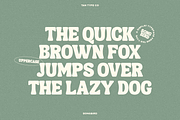 TAN - SONGBIRD, a Font by TanType (Thumbnail 10 of 16)