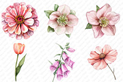Watercolor Blush Wild Flowers, an Illustration by Watercolor design (Thumbnail 3 of 12)