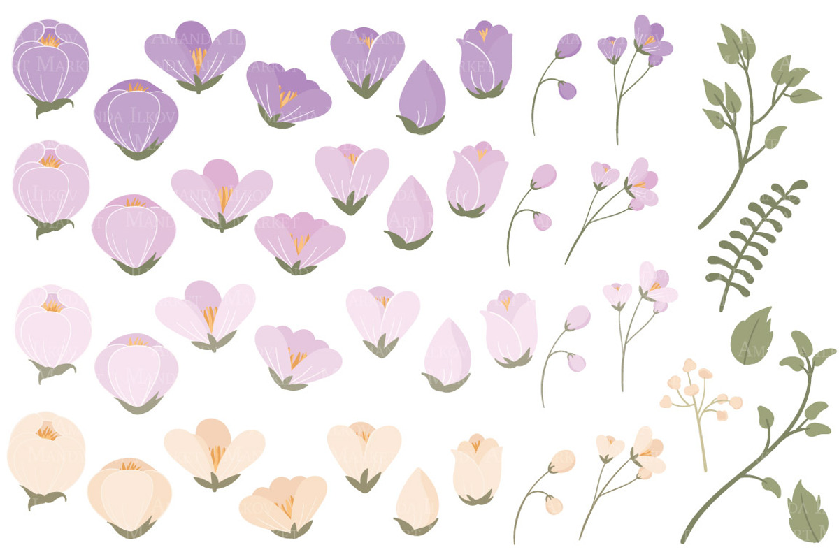Lavender Flower Clipart & Vectors, an Illustration by Amanda Ilkov (Photo 3 of 3)