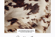 Soft & Cozy: Tactile Backgrounds, a Texture Graphic by Purple (Thumbnail 2 of 10)