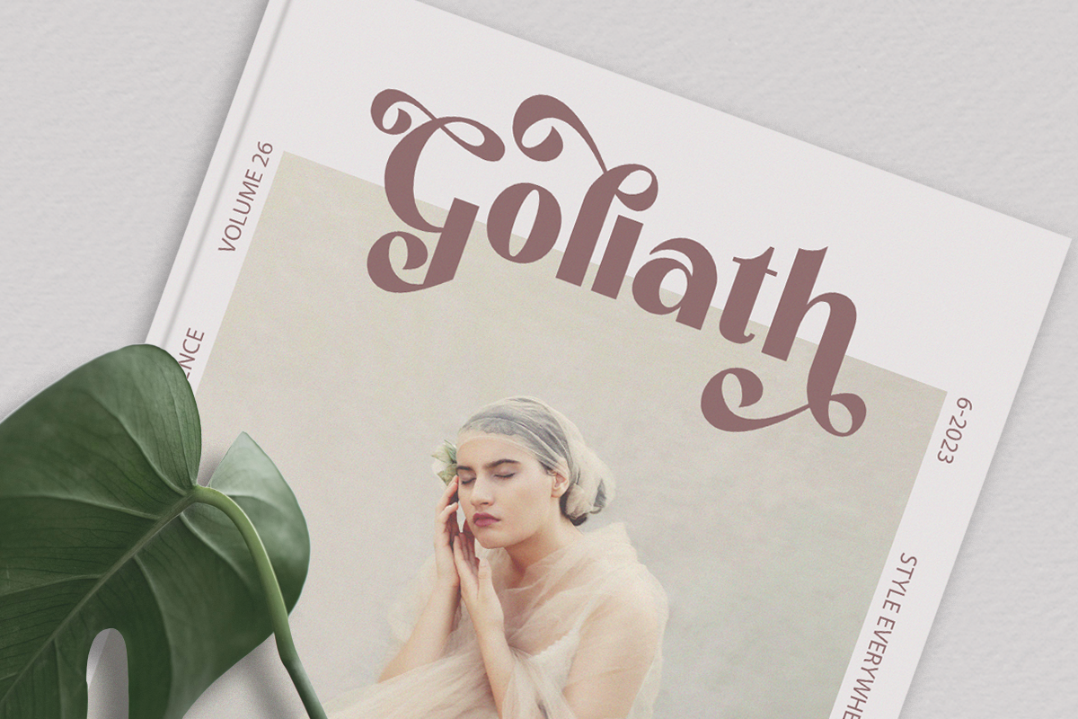 Loving Romance - Elegant Sans Font, a Sans Serif Font by Font Liner (Photo 4 of 12)