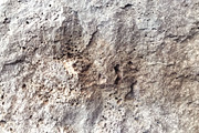 Textures of Reykjavik, a Texture Graphic by Jackson Fish Market (Thumbnail 5 of 17)