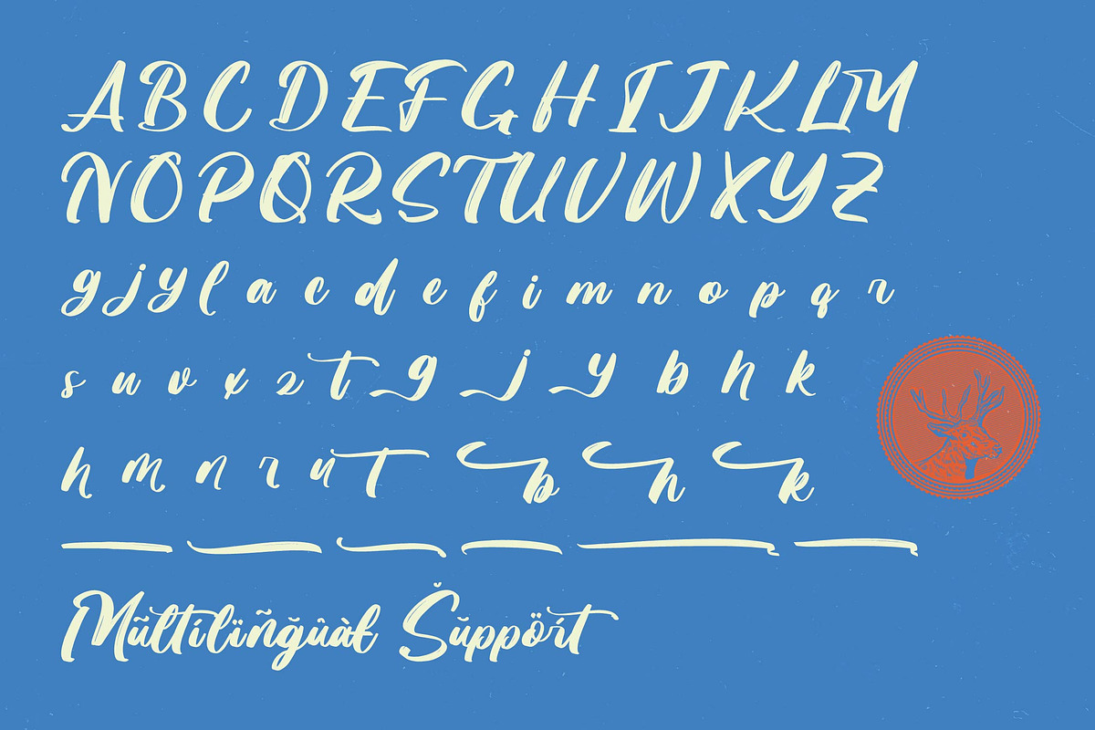 Skanika Bold Handwritten Font, a Script Font by Letterena Studios Script (Photo 17 of 20)