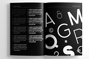 Leonardo Sans – 18 Styles, a Sans Serif Font by FactoryType Studio (Thumbnail 7 of 10)