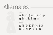 Magnetic – Modern Sans Serif Font, a Sans Serif Font by Hamz Studio (Thumbnail 8 of 20)