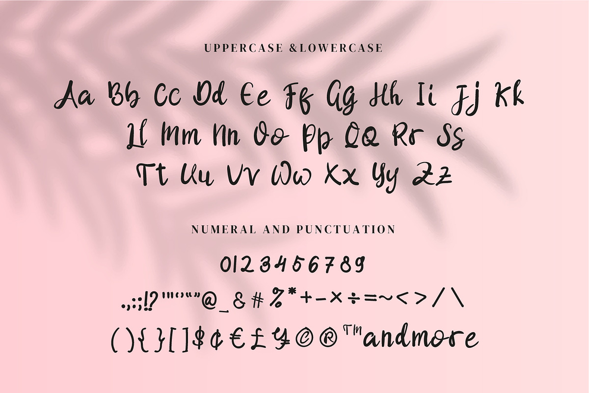 Shellya Cristin - Modern Script font, a Script Font by Nahar_std (Photo 6 of 8)