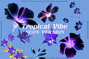 Floral Tropical Vibe, a Wallpaper Graphic by nadispasibenko (Thumbnail 21 of 21)