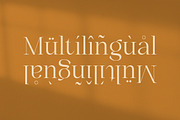 Caster Modern Chic Serif, a Serif Font by Eternity Studio (Thumbnail 10 of 10)