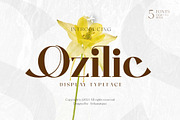 Ozilic, a Serif Font by Ardyanatypes (Thumbnail 1 of 12)