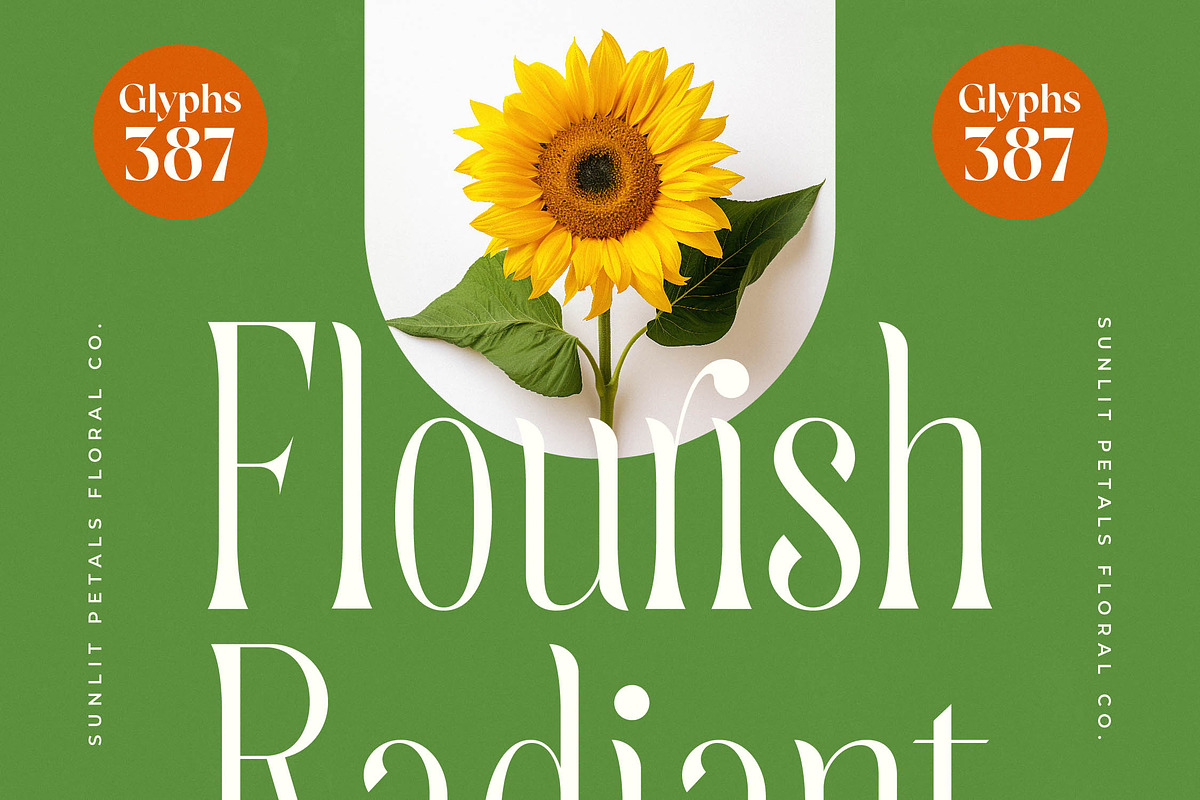 Quiselle Elegant Display Serif, a Serif Font by timelesstype.co (Photo 8 of 20)