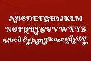 Never Aurora, a Serif Font by zaaintype (Thumbnail 11 of 11)