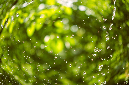 water drops texture on green garden
