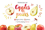 Apples and pears. Watercolor., a Graphic by ognivo (Thumbnail 1 of 2)