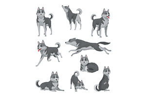 Cute gray wolf in different poses, an Animal Illustration by the8monkey