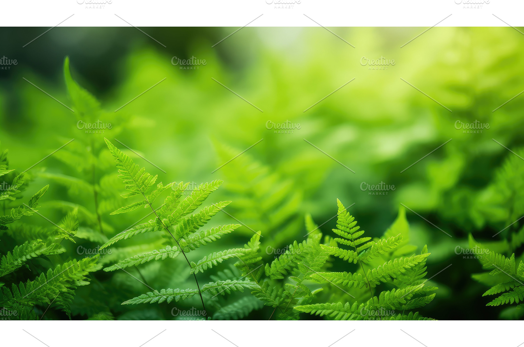 leaf summer foliage field close ai, a Nature Photo by pikepicture