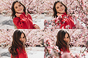Blossom Tree Branch Overlays, an Object Graphic by DreamyOverlay (Thumbnail 5 of 6)