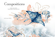Underwater Watercolor Collection, an Animal Illustration by Evgeniia (Thumbnail 7 of 16)