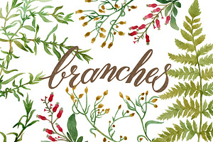 Branches