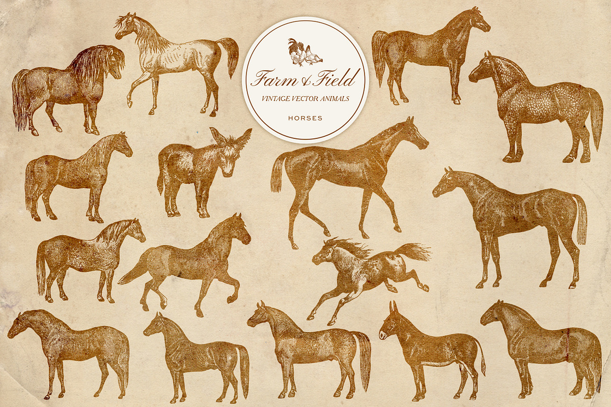 Vintage Farm Animal Vector Graphics, an Object Graphic by Eclectic Anthology (Photo 3 of 9)