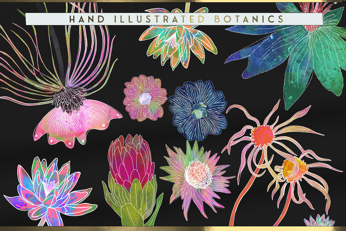 Interstella Mystic Illustrations Kit, a Graphic by Neon Wild (Photo 6 of 11)